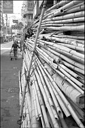 Stack of bamboo