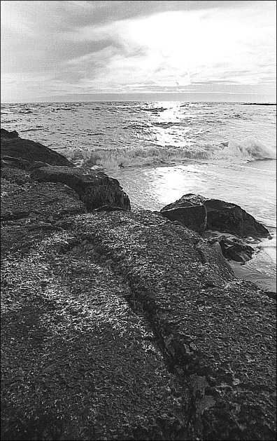 Cape May Point