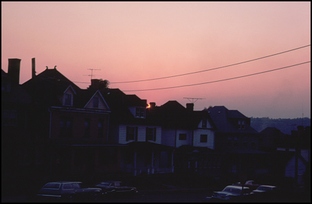 A summer's eve