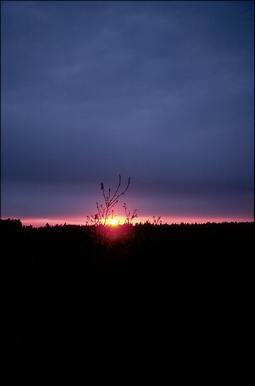 Germany sunset