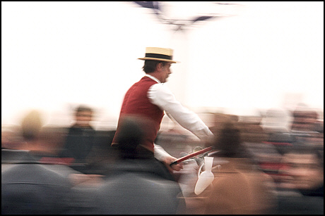 Parade cyclist