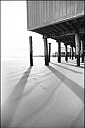 Cape May Shadows