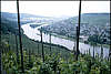 Wine fields