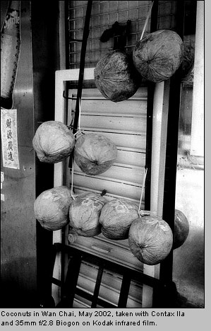 Coconuts in Wan Chai